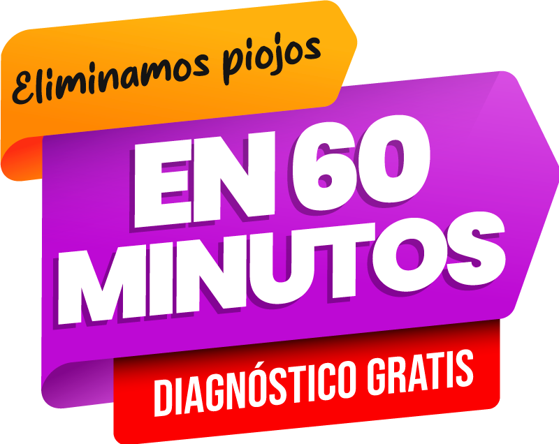 PROMO3 Eliminar piojos en 60 min